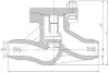 lift check valve, DN100, PN100 